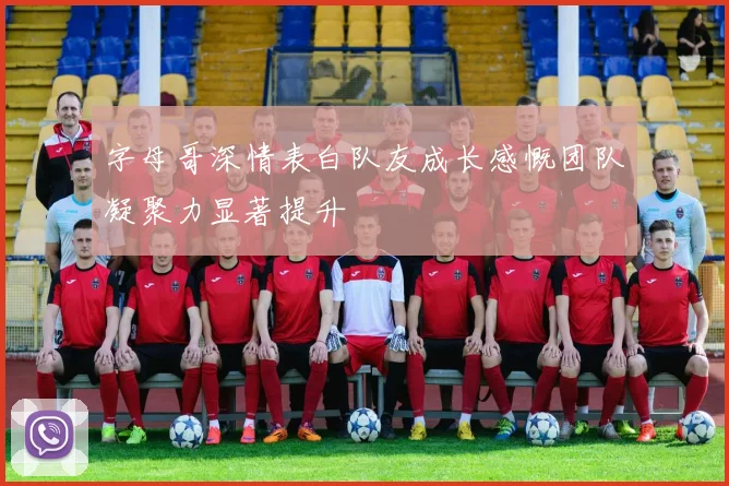 字母哥深情表白队友成长感慨团队凝聚力显著提升