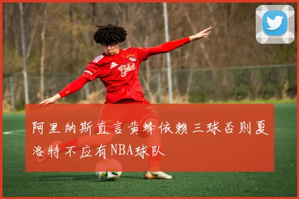 阿里纳斯直言黄蜂依赖三球否则夏洛特不应有NBA球队